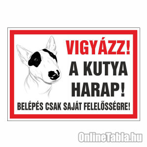 /2414-5195-thickbox/vigyazz-a-kutya-harap-belepes-csak-sajat-felelossegre.jpg